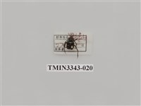 藏品(長毛長腳金龜)的圖片